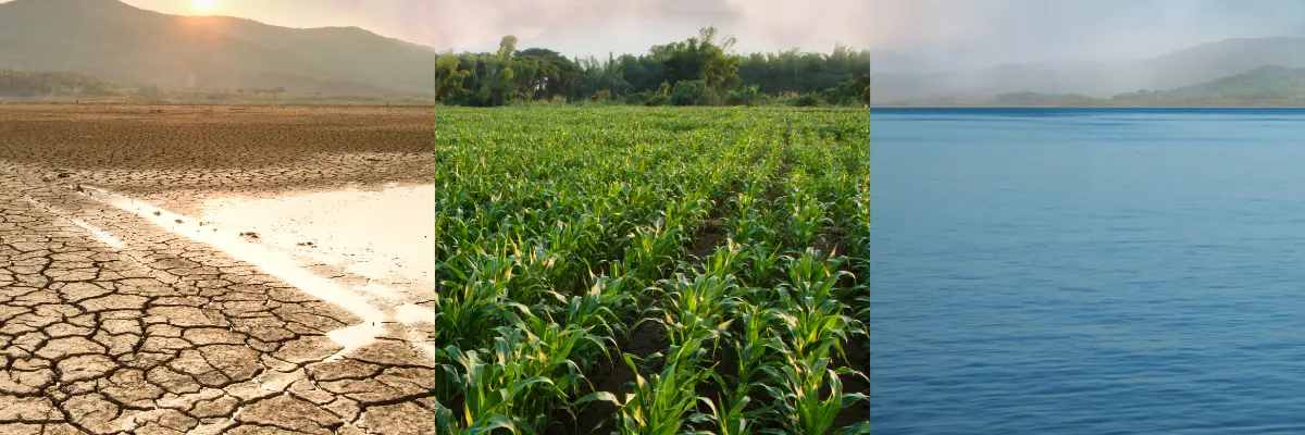 How Climate Literacy is Shaping Sustainable Business Education at CETYS Universidad