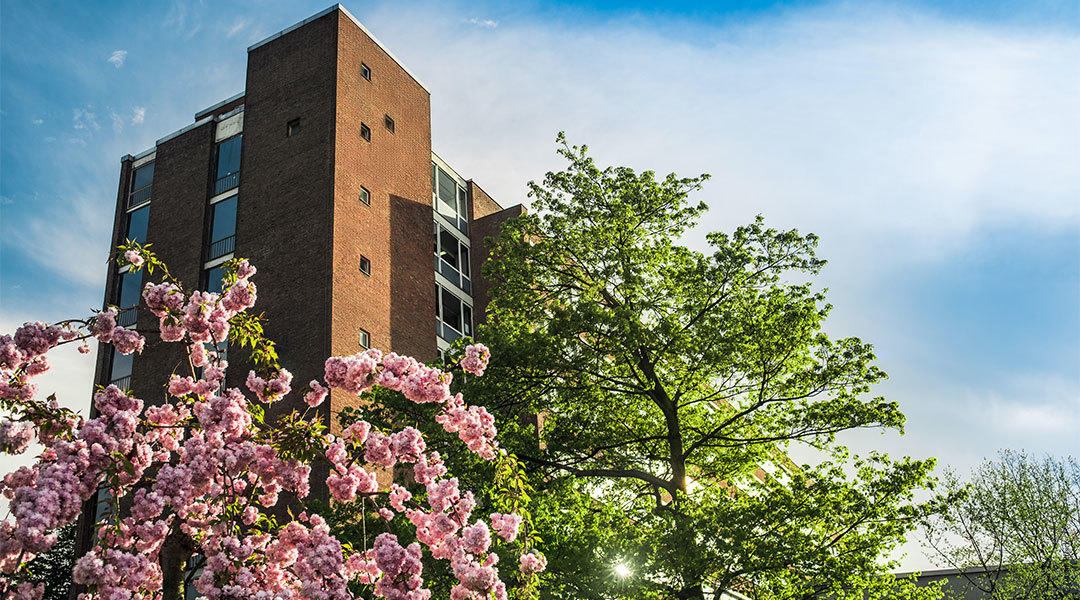 Gebaeude Wi So Fakultaet Fruehling 002 1080px