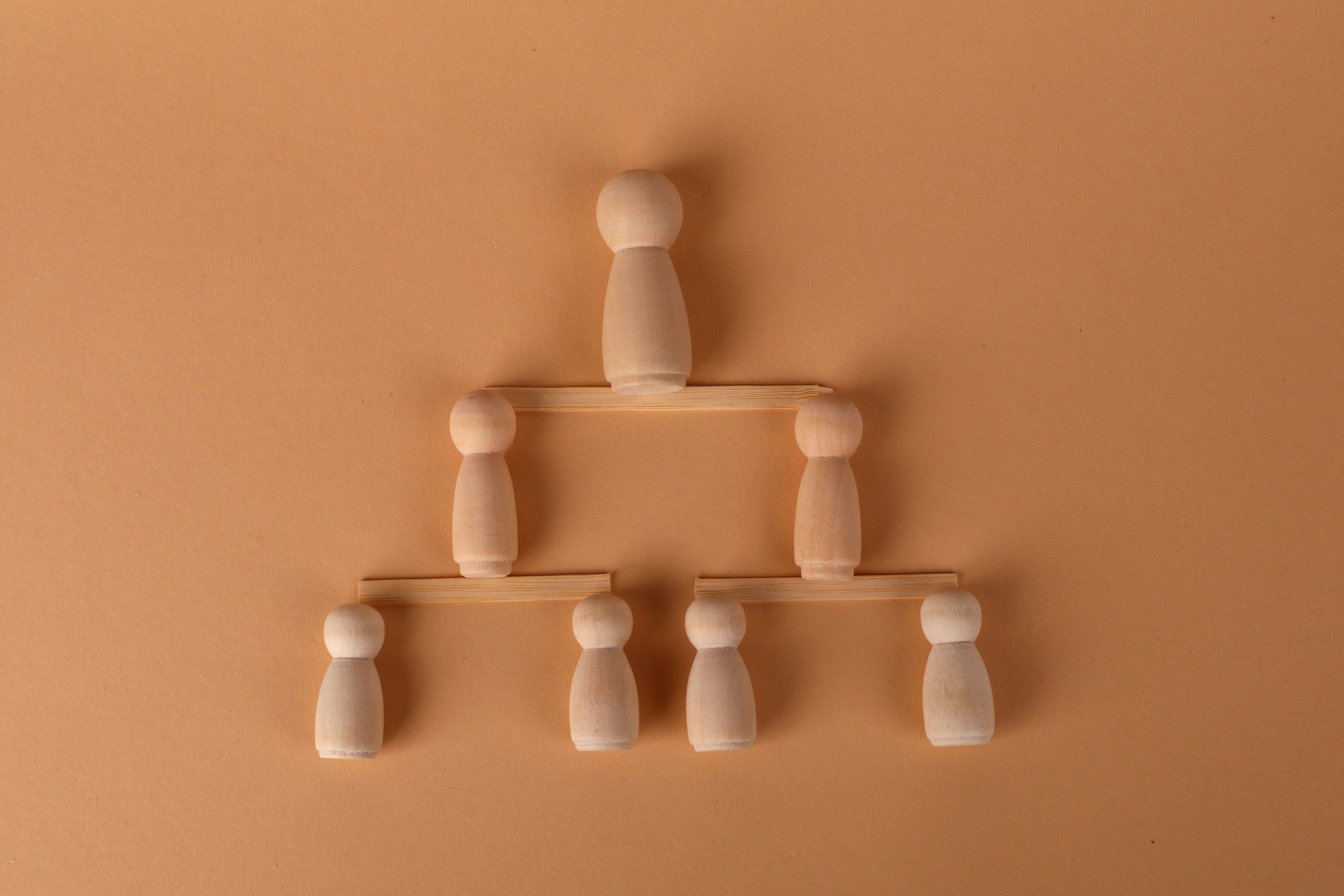 Introduction to Organizational Behavior