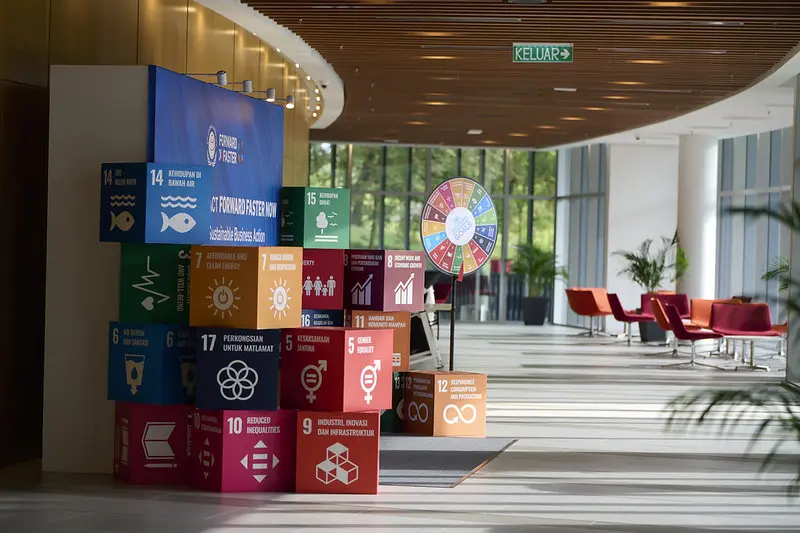 SDG boxes