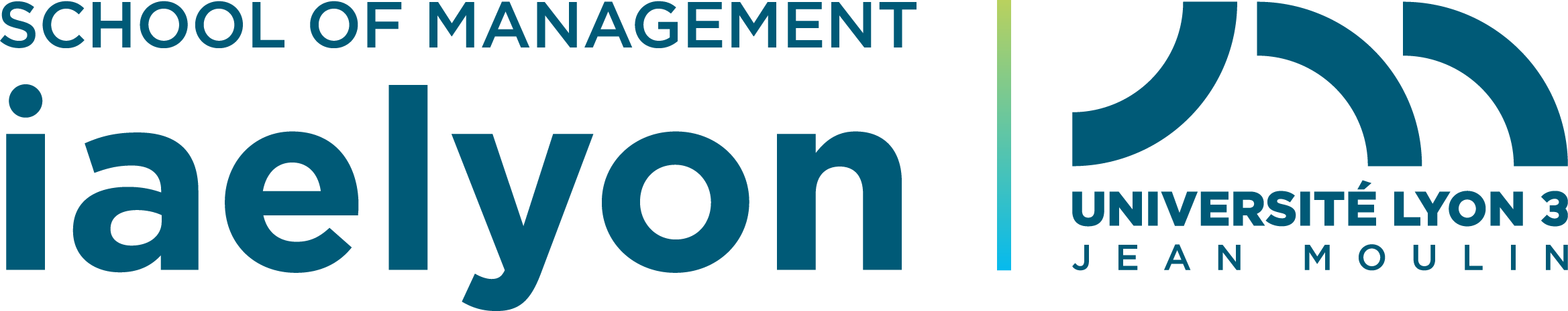 iaelyon School of Management logo