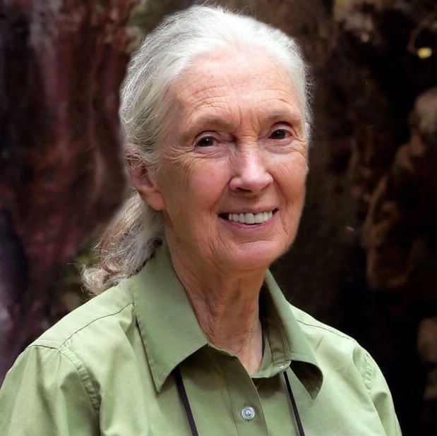 Dr. Jane  Goodall, DBE